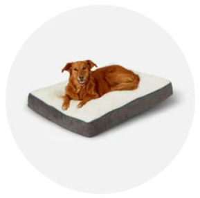 Chewy eGift Card